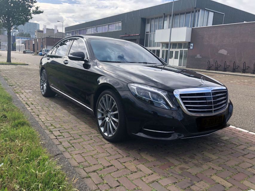From Amsterdam: The Hague Private Trip and Mauritshuis Entry - Key points to know before booking