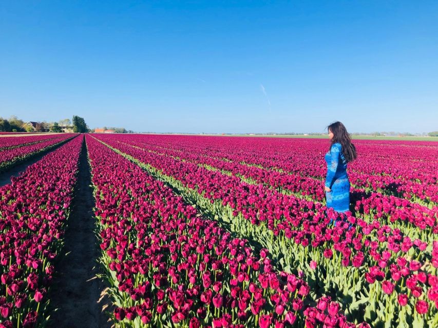 From Amsterdam: Tulip Tour Keukenhof & City Tour Delft - Key points to know before booking