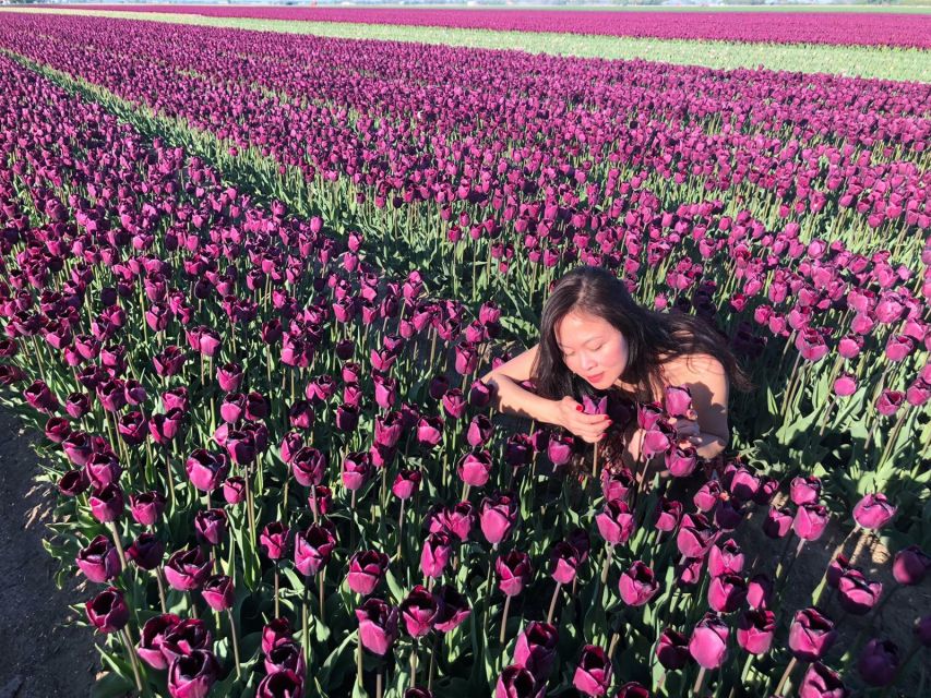 From Amsterdam: Tulip Tour Keukenhof & City Tour Delft - Walking through Delft’s old center