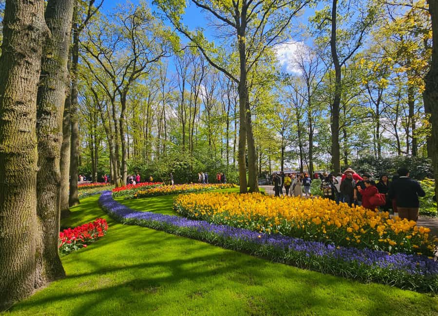 From Amsterdam: Tulip Tour Keukenhof & City Tour Delft - Walking, comfort, and accessibility