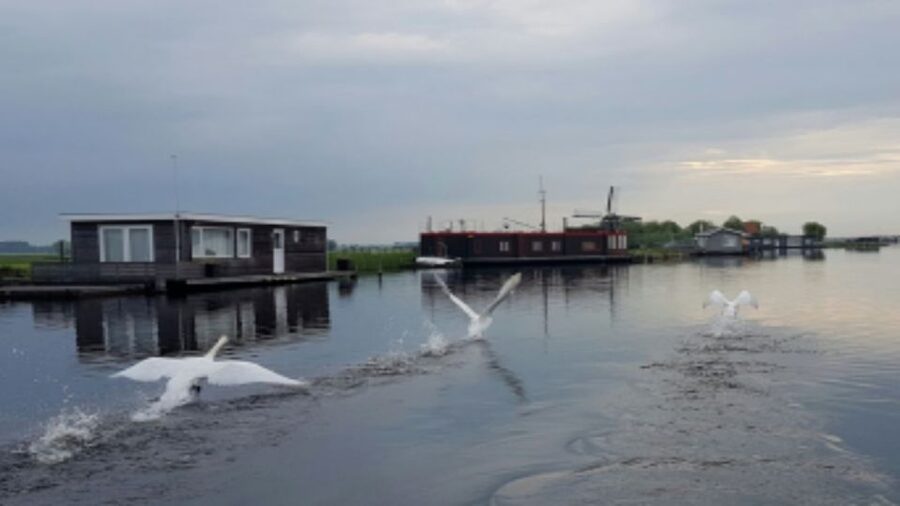From Katwijk: Kaag Lakes Cruise - A slow look at Holland’s Green Heart
