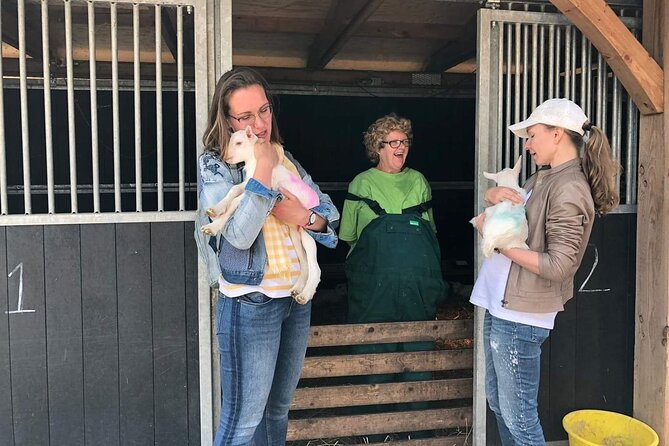Full-Day Private Guided Countryside Tour from Amsterdam by Bike - Dairy farms and the working side of Waterland