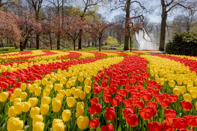 Full-Day Skip the Line Keukenhof and Canal Cruise from Amsterdam - What the price means for your day