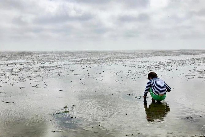 Full day tour to Texel - Friesian Islands - from Amsterdam - Five hours among Texel’s villages and nature reserves