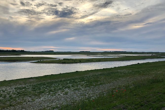Full day tour to Texel - Friesian Islands - from Amsterdam - What the $299.57 price really buys you
