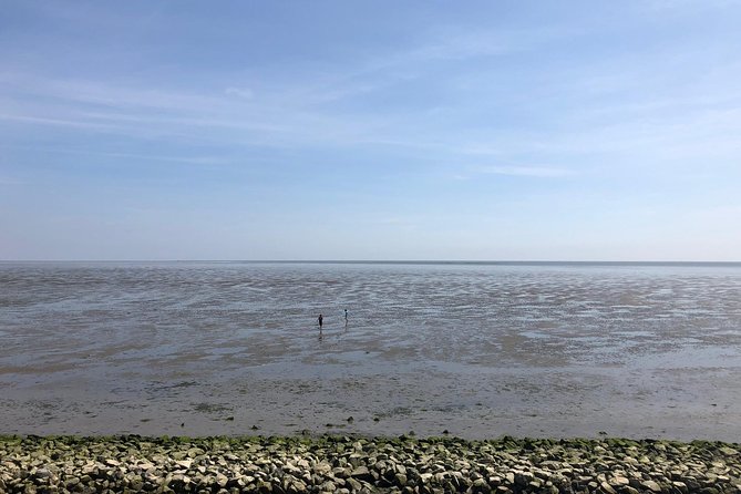 Full day tour to Texel - Friesian Islands - from Amsterdam - Weather, tides, and the right clothing