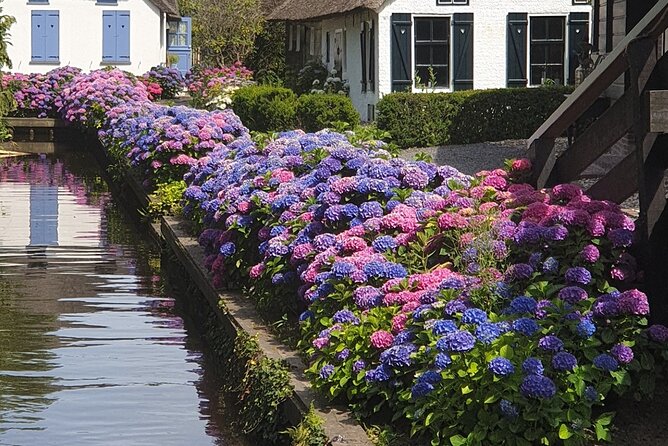 Giethoorn Day Tour from Amsterdam with Small Boat Ride - Why Giethoorn makes a good Amsterdam day trip
