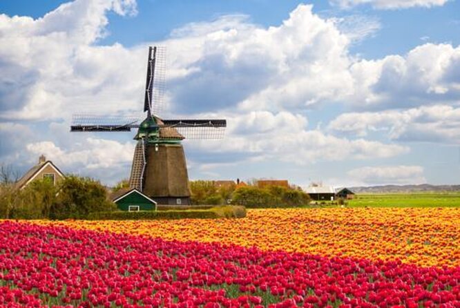 Giethoorn, Zaanse Schans Windmills Guided Day Trip from Amsterdam - What makes this day trip worth considering