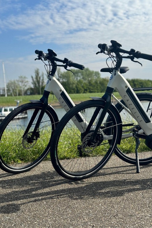 Goes: Full-Day E-Bike Rental - Using GPS without draining your phone