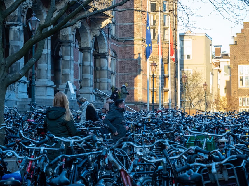 Groningen: Walking Tour with Local Guide - Starting at Forum Groningen, where old and new meet