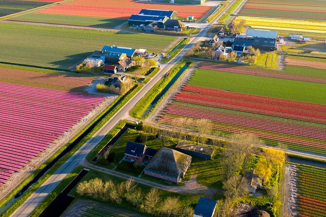 Guided Bike Tour along the Dutch Tulip Fields in Noord Holland - Why Schagen is a better base than a crowded flower park