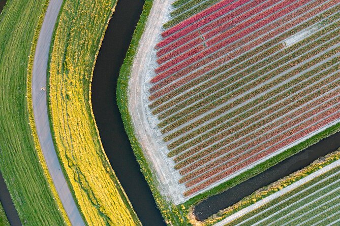 Guided Bike Tour along the Dutch Tulip Fields in Noord Holland - Getting from Amsterdam to Schagen