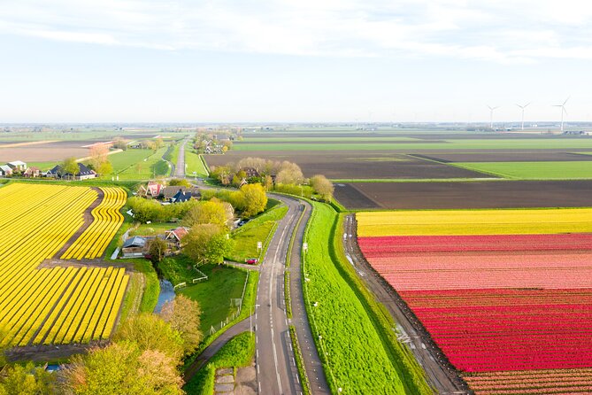 Guided Bike Tour along the Dutch Tulip Fields in Noord Holland - Windmills, meadows, and villages between the flower fields