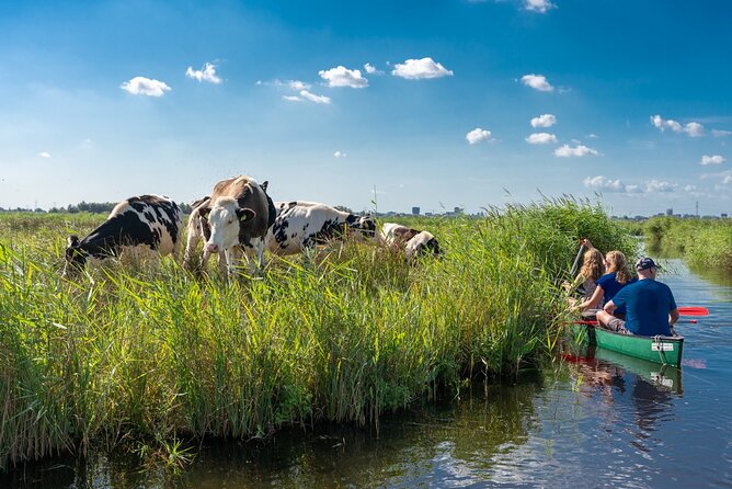 Guided Canoe Adventure with Picnic Lunch in Waterland from Amsterdam - Key points to know before booking