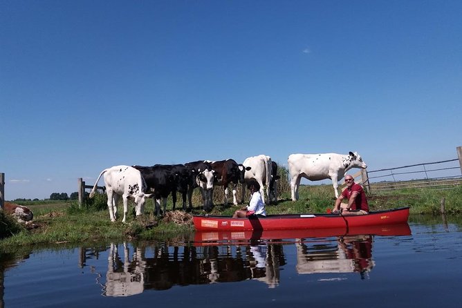 Guided Canoe Adventure with Picnic Lunch in Waterland from Amsterdam - What the $112.84 price includes