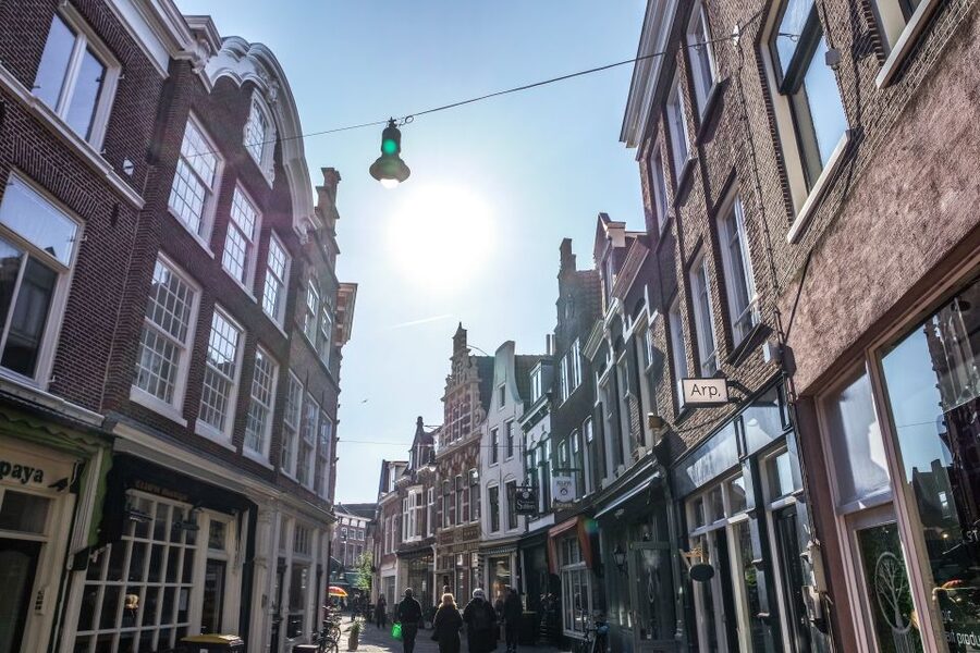 Haarlem: City Highlights Walking Tour - Starting beside Sint Bavo on Grote Markt