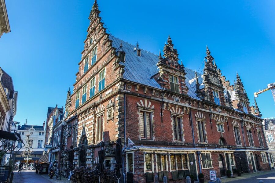Haarlem: City Highlights Walking Tour - De Adriaan and the view of Haarlem’s windmill tradition
