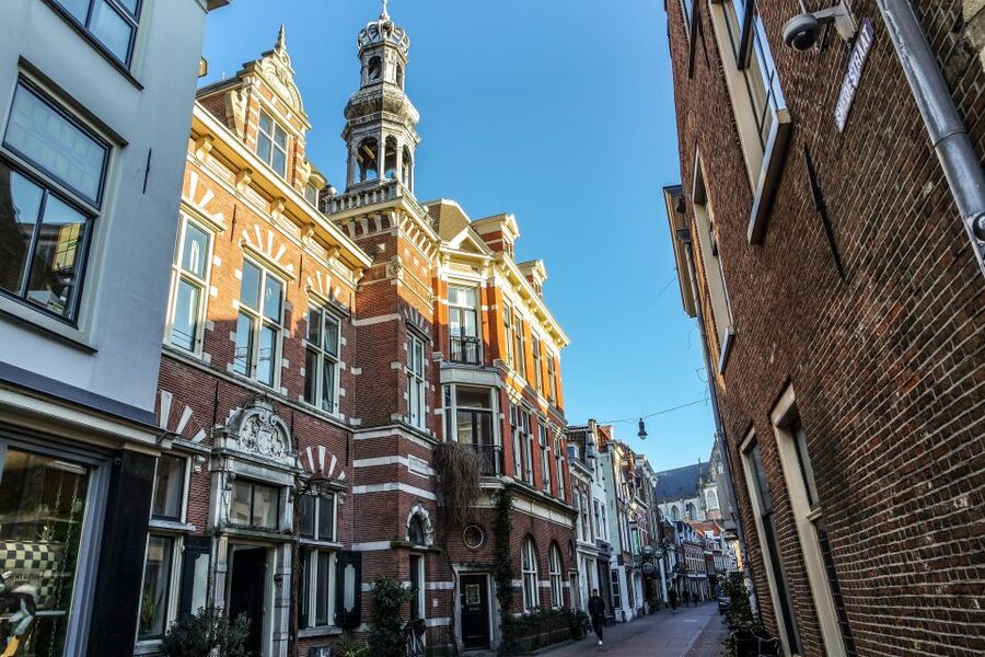 Haarlem: City Highlights Walking Tour - What $25 buys you in Haarlem