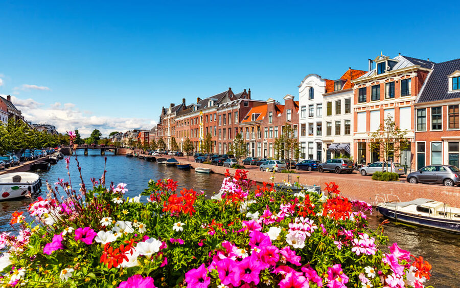 Haarlem Highlights Bike Tour - What Two Hours Can and Cannot Cover