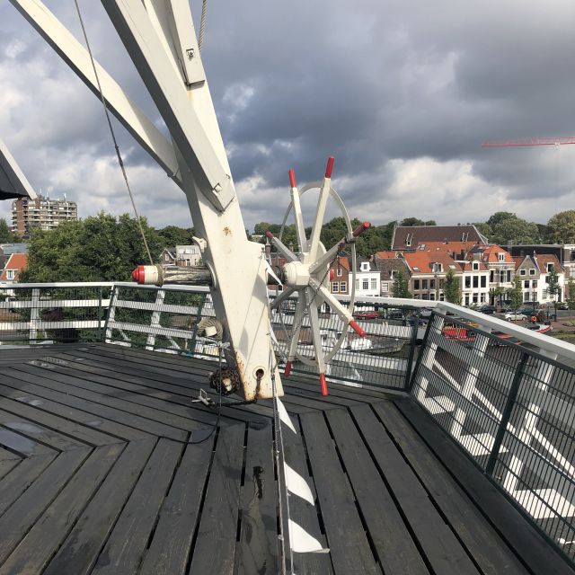 Haarlem: Windmill 'De Adriaan' Guided Tour - Take the stairs seriously