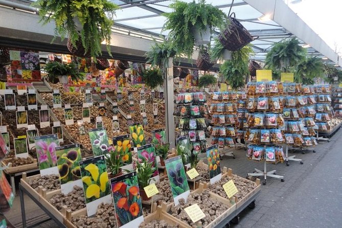 Half-Day Tour of Red Light District and Jordaan District with Private Guide in Amsterdam - Albert-Cuyp Market and everyday De Pijp