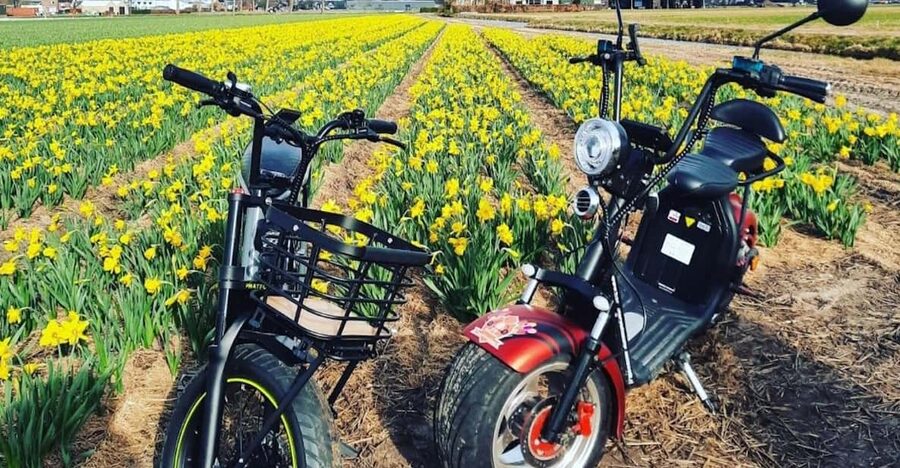 Hillegom: E-Scooter or E-Bike Rental in the Bulb Region - Starting near Hillegom train station