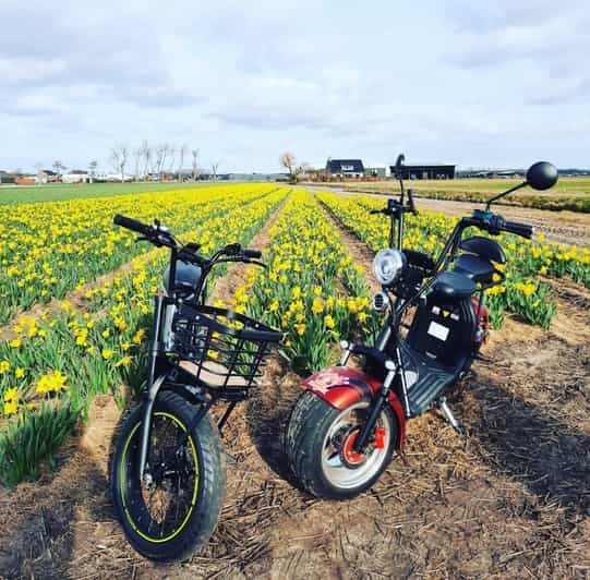 Hillegom: E-Scooter or E-Bike Rental in the Bulb Region - Choosing between an e-bike and an e-scooter