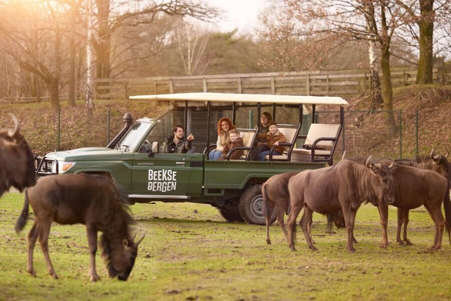 Hilvarenbeek: Safaripark Beekse Bergen Entry Ticket - What the $35 ticket is worth