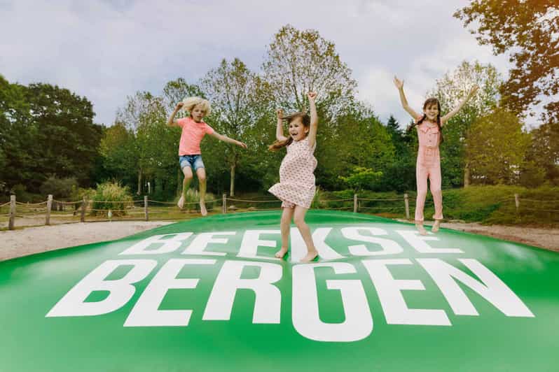 Hilvarenbeek: Speelland Beekse Bergen Entrance Ticket - Minicars and Kidcars require extra coins