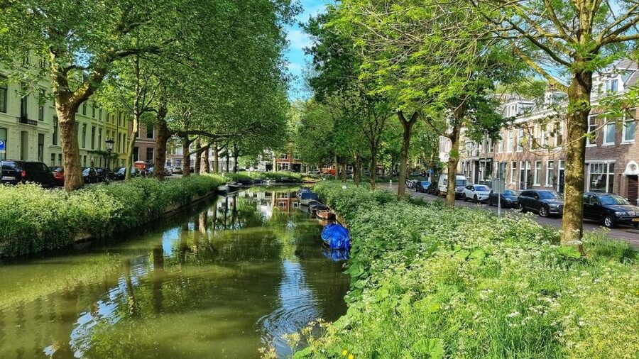 Historical Utrecht: Private Walking Tour with a Local Guide - Meeting beneath the Dom Tower