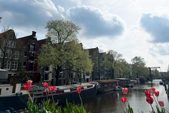 Historical Walking Tour, private with local Dutch guide - The smallest house and the human scale of the city
