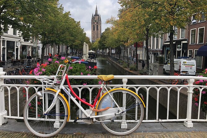 Holland Four City Charm Tour - Private Day Tour - Haarlem, art, courtyards, and St. Bavo Church