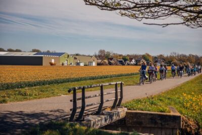 Flower Fields Small-Group Cultural Bike Tour