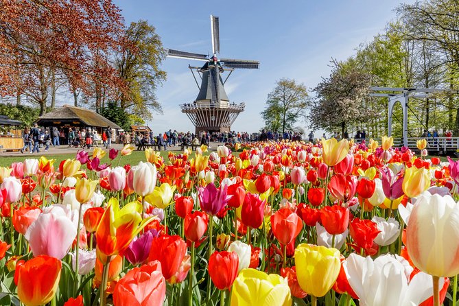 Keukenhof, Flower Fields, Volendam and Zaanse Schans Small-Group Tour - Three hours among Keukenhof’s spring bulbs