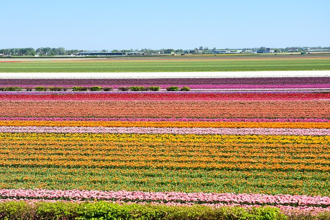 Keukenhof, Flower Fields, Volendam and Zaanse Schans Small-Group Tour - Volendam: waterfront views, lunch, and souvenirs