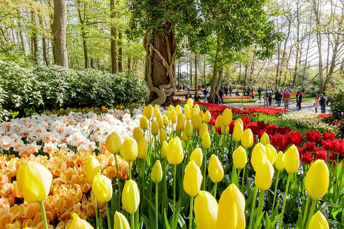 Keukenhof, Flower Fields, Volendam and Zaanse Schans Small-Group Tour - Starting near Amsterdam Central Station