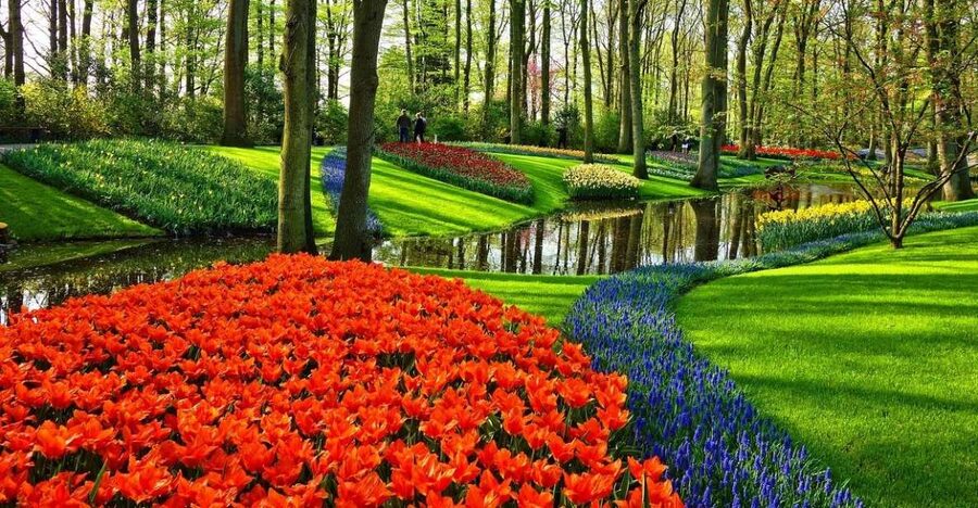 Keukenhof Gardens and Tulip Experience Tour from Amsterdam - The short transfer to Keukenhof