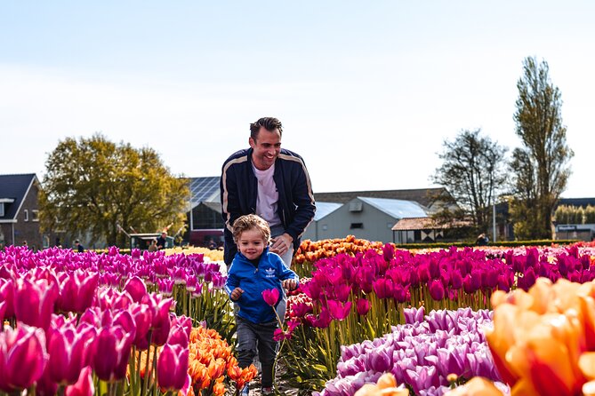 Keukenhof Gardens and Tulips Private Tour from Amsterdam - Why this private Keukenhof trip is different
