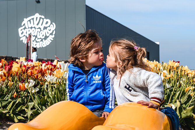 Keukenhof Gardens and Tulips Private Tour from Amsterdam - Hotel pickup, parking, and the private vehicle