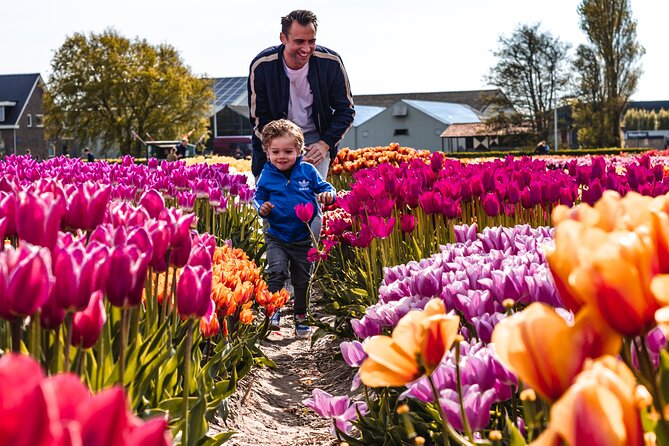 Keukenhof Gardens & Tulip Experience Tour from Amsterdam - Why this spring tour works so well