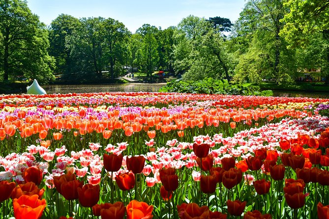 Keukenhof Gardens & Tulip Experience Tour from Amsterdam - Is $95.94 good value?