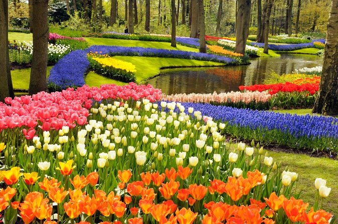 Keukenhof Gardens & Tulip Experience Tour from Amsterdam - The Tulip Experience gives the flowers a backstory