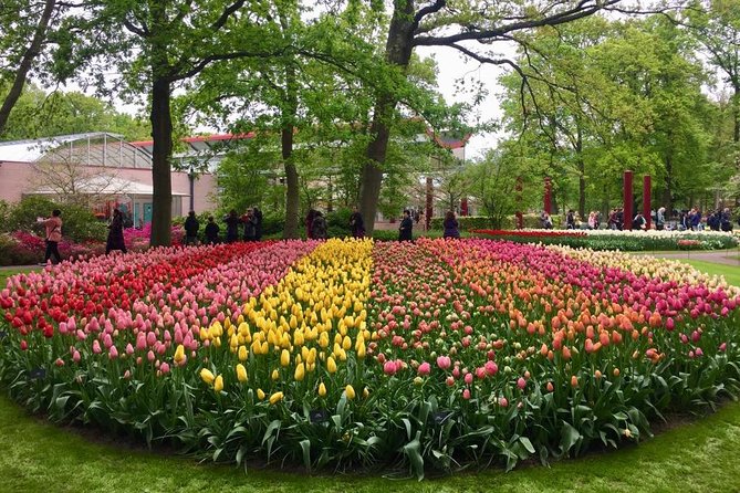 Keukenhof's Tulips and Windmills Small-Group Tour from Amsterdam - Watching clogs take shape