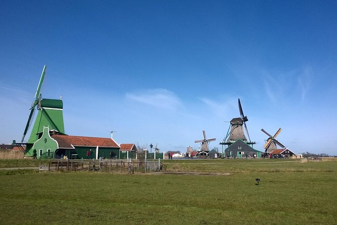 Keukenhof's Tulips and Windmills Small-Group Tour from Amsterdam - Gouda tasting at Catharina Hoeve