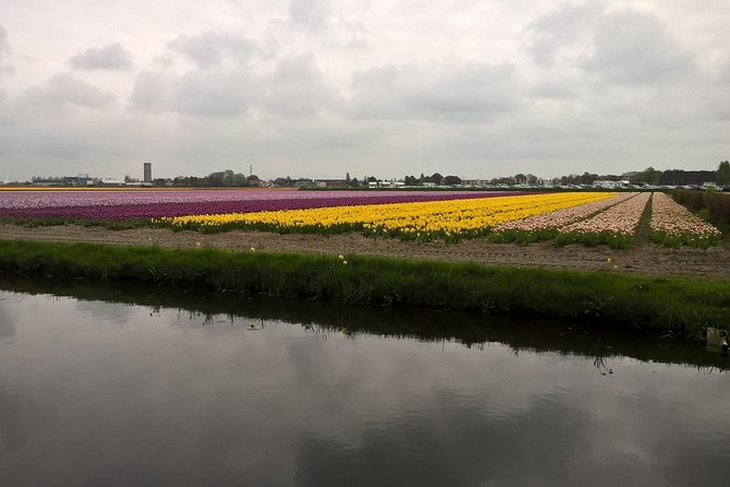 Keukenhof's Tulips and Windmills Small-Group Tour from Amsterdam - Climbing inside Molen De Kat