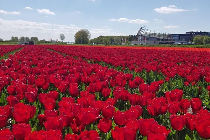 Keukenhof Skip-the-line Tickets: Countryside & Farm Private Tour - What the guides add
