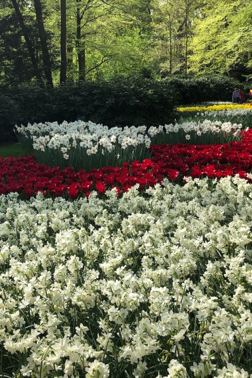 Keukenhof, Tulip Farm, Flower Fields & Windmills - Key points to know before booking