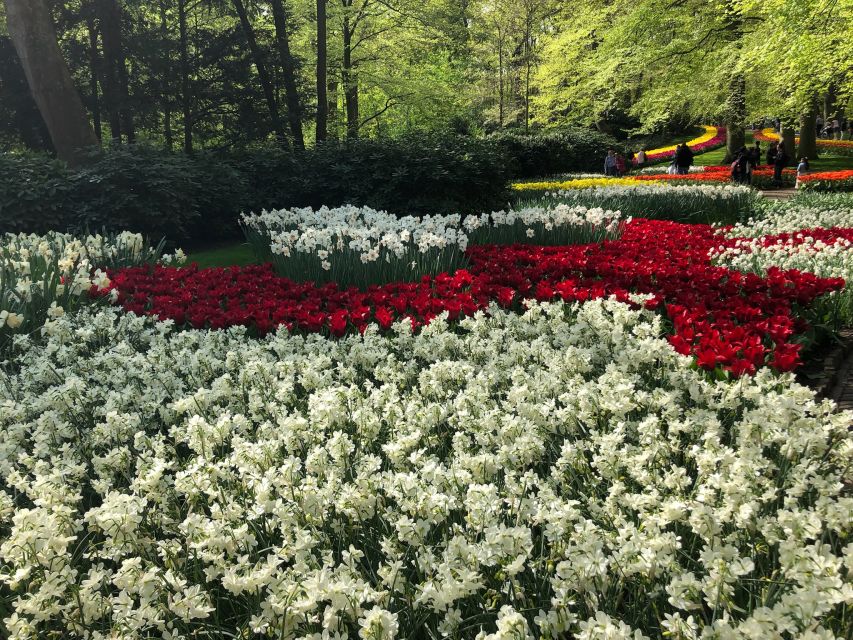 Keukenhof, Tulip Farm, Flower Fields & Windmills - Zaanse Schans and the old windmill economy