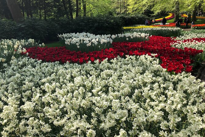 Keukenhof, Tulip Farm, Flower Fields & Zaanse Schans Windmills - Flower fields and the optional farm atmosphere