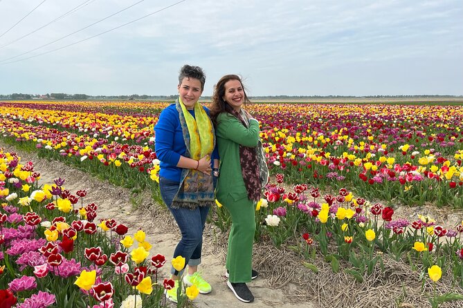 Keukenhof, Tulip Farm, Flower Fields & Zaanse Schans Windmills - Who will get the most from this day?